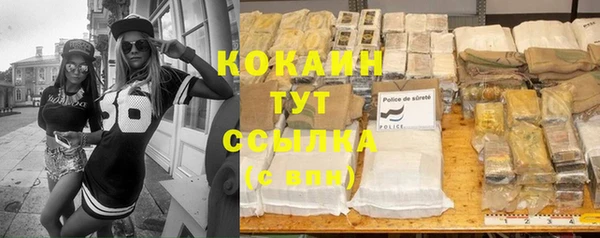 прущая мука Инсар